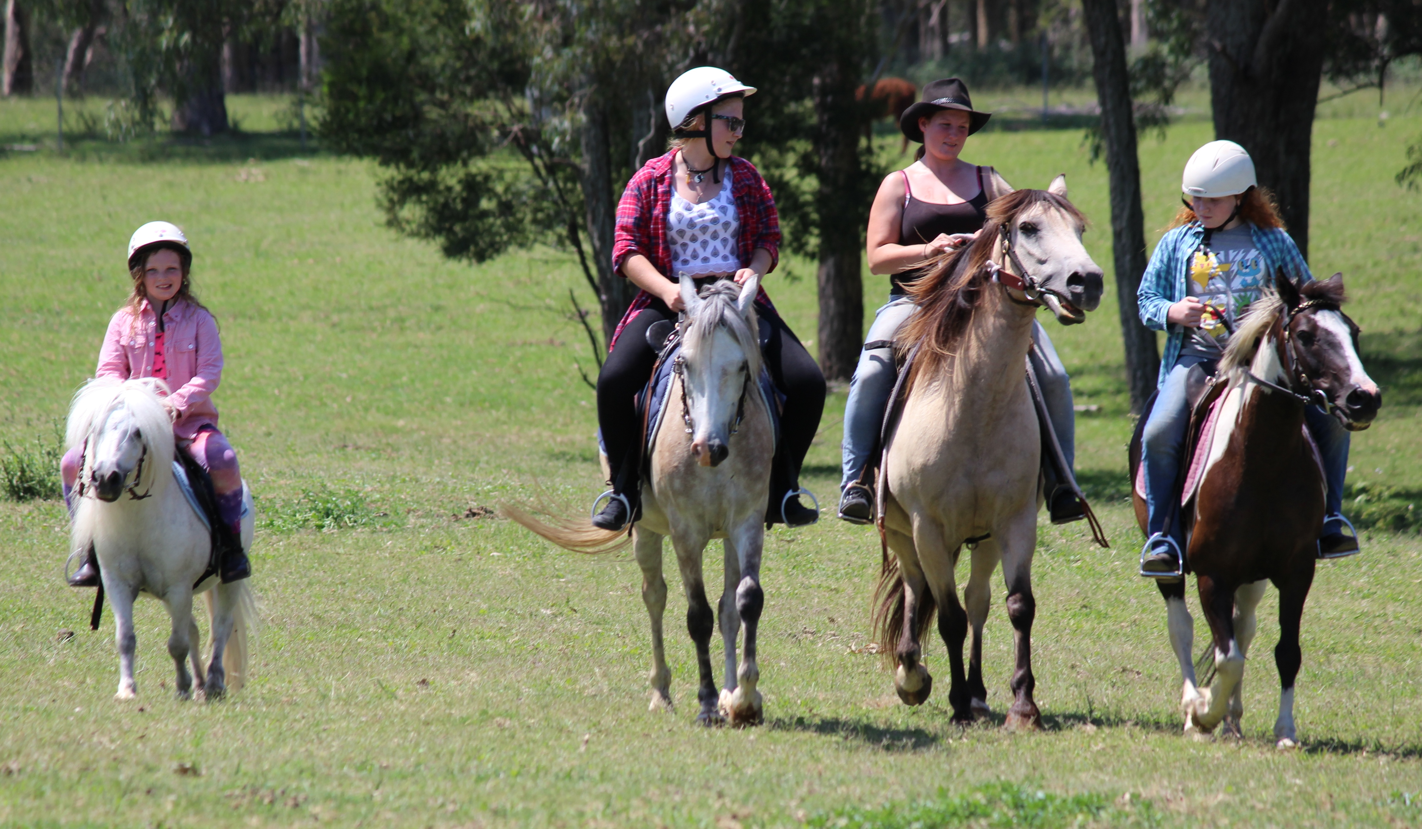 Ponies/Trailriding.jpg